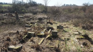 19 Březnové brigády na hřbitově ve Svatoboru     